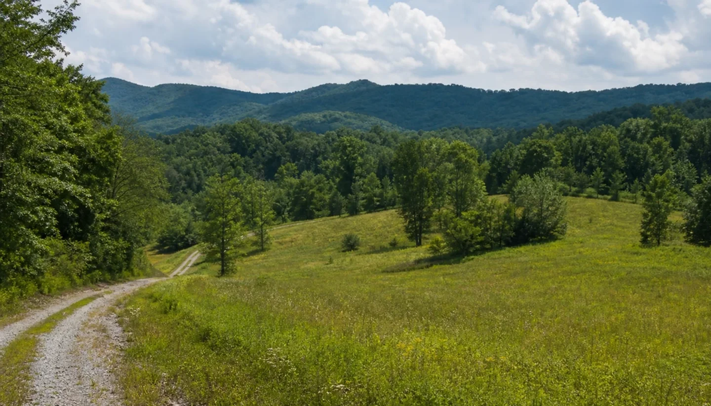 Florida Land Buyers: How to Find Cash Buyers for Your Land section image 2